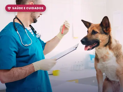 Curso de Auxiliar de Veterinário